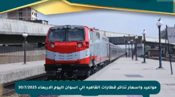 مواعيد وأسعار تذاكر قطارات القاهرة إلى أسوان اليوم الأربعاء 30/7/2025